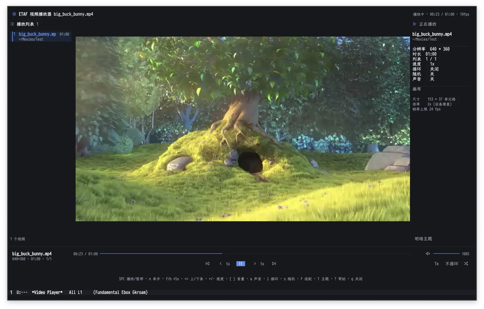 Video player in Emacs